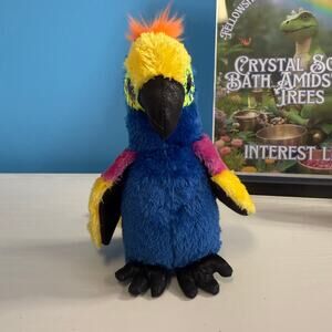 Ty Beanie Boo Wynnie Parrot 6" Plush EUC Colorful Bird Rainbow